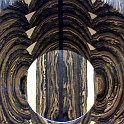 Bocote