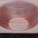 cocobolo4