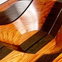 tulipwood1